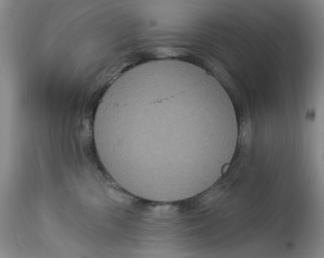 X0000113160426200909251356