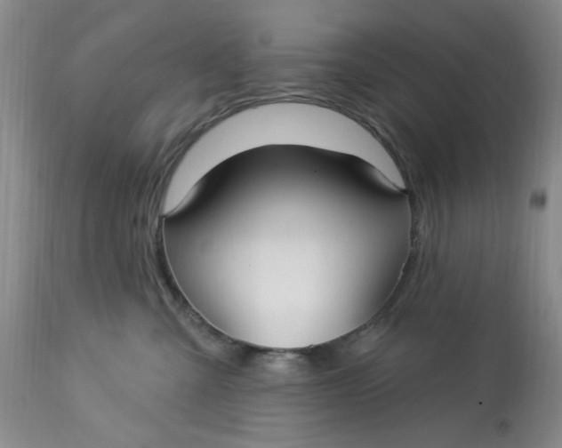 X0000113160427200909251356