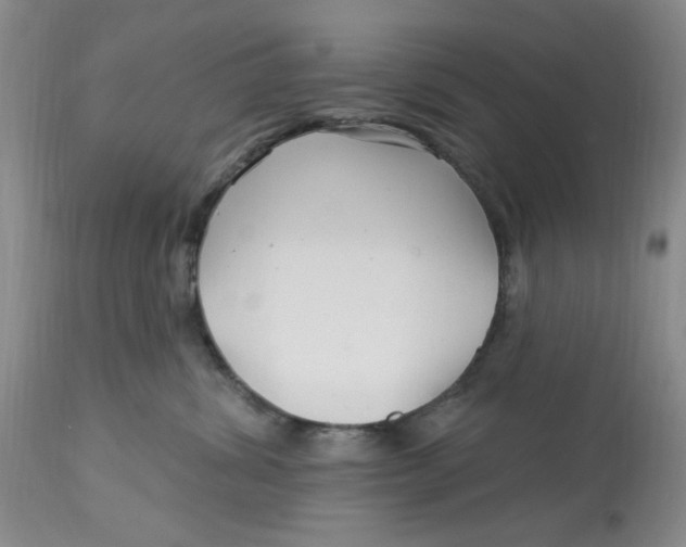 X0000113160428200909251356