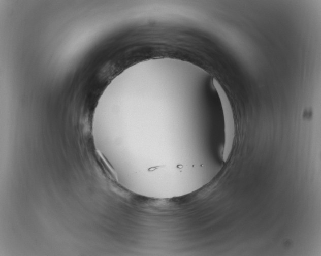 X0000113160431200909251356