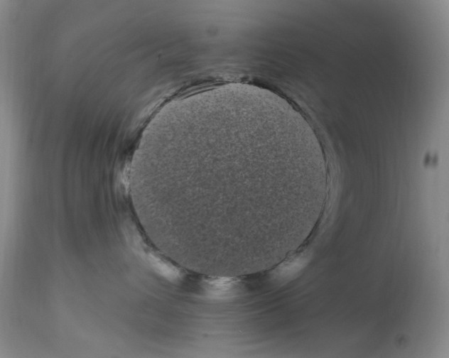 X0000113160432200909251356