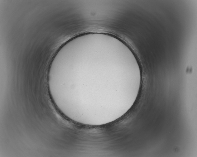 X0000113160433200909251356