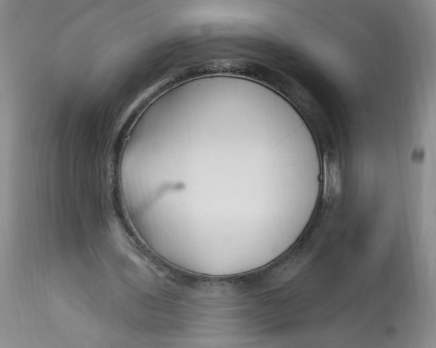 X0000113160435200909251356