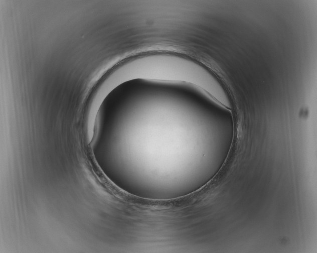 X0000113160436200909251356