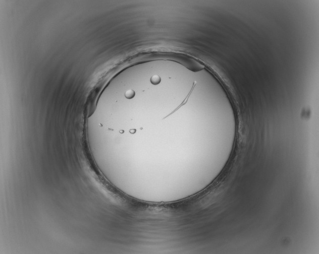 X0000113160437200909251356