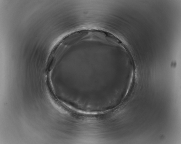 X0000113160438200909251356