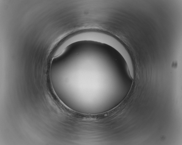 X0000113160440200909251356