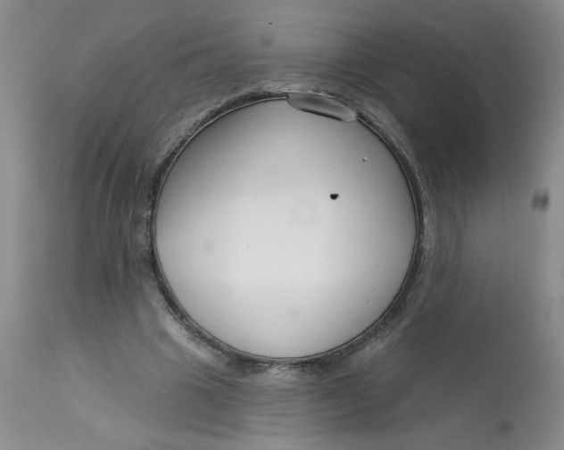 X0000113160441200909251356