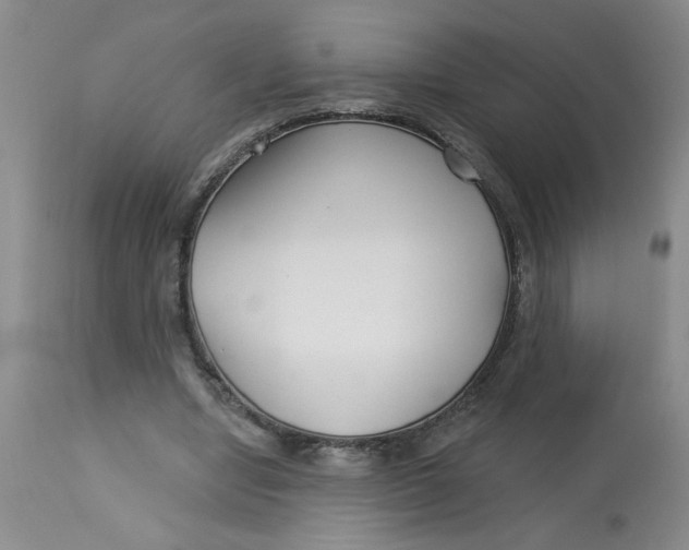 X0000113160442200909251356