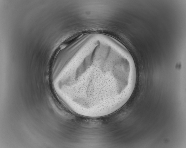 X0000113160443200909251356