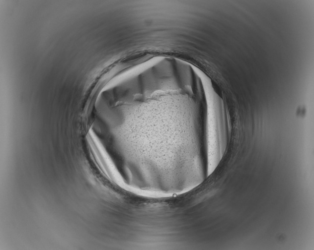 X0000113160446200909251356