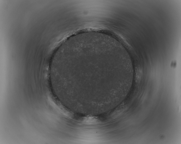 X0000113160451200909251356