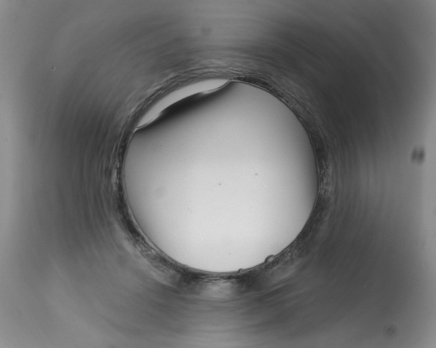 X0000113160456200909251356