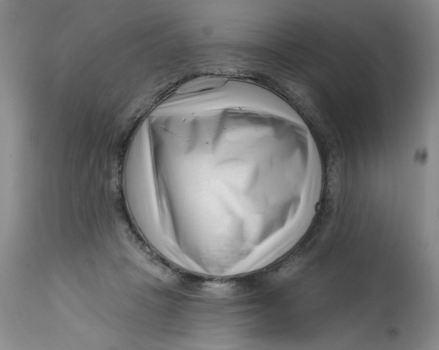 X0000113160457200909251356