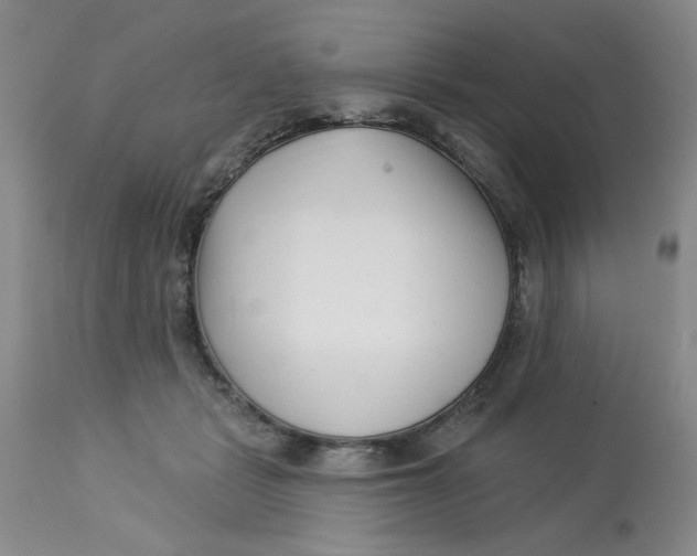 X0000113160461200909251356