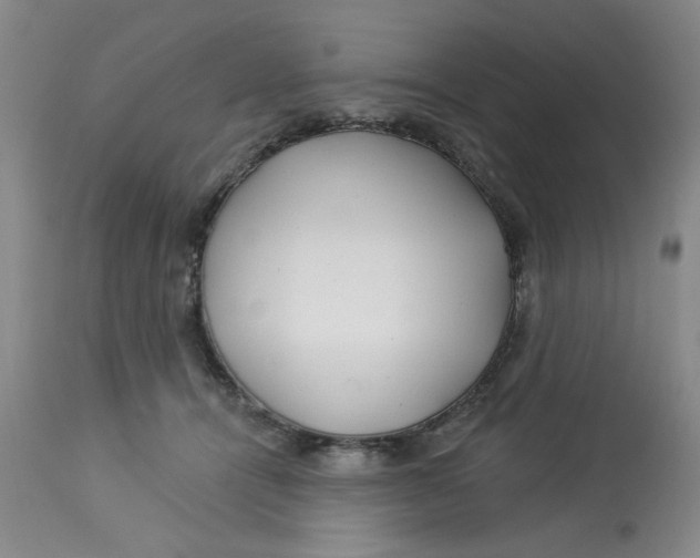 X0000113160464200909251356