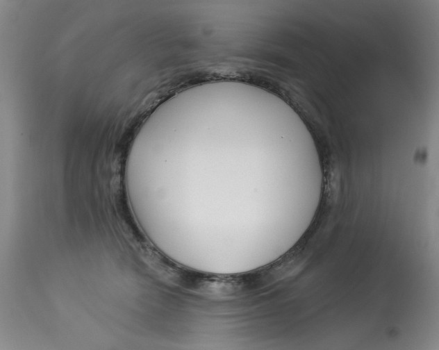 X0000113160466200909251356