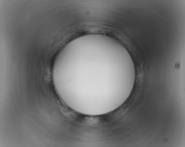 X0000113160469200909251356