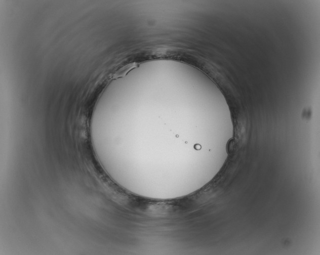 X0000113160470200909251356