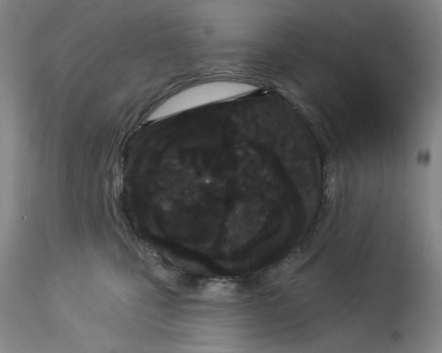 X0000113160471200909251356