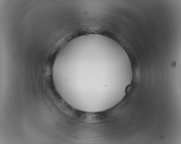 X0000113160472200909251356