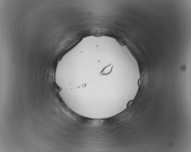 X0000113160474200909251356