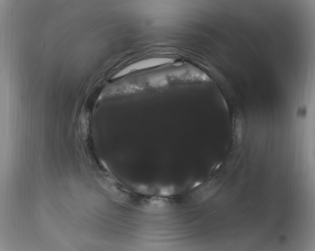 X0000113160475200909251356