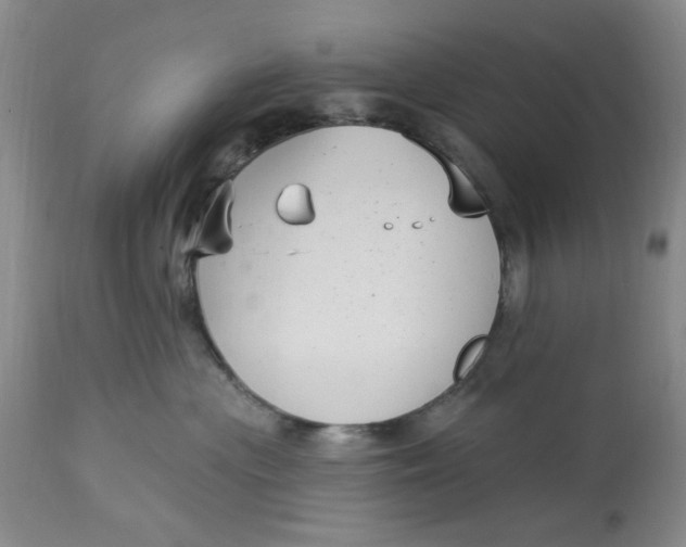 X0000113160477200909251356