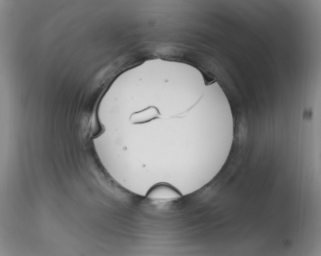 X0000113160478200909251356