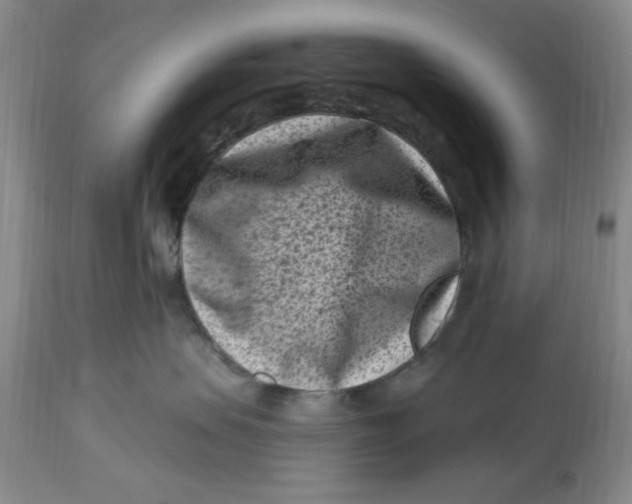 X0000113160479200909251356