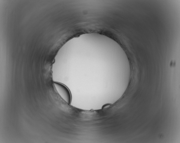 X0000113160480200909251356