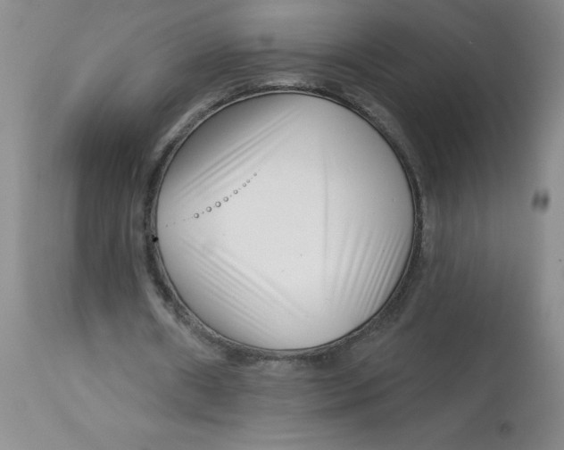 X0000113160482200909251356