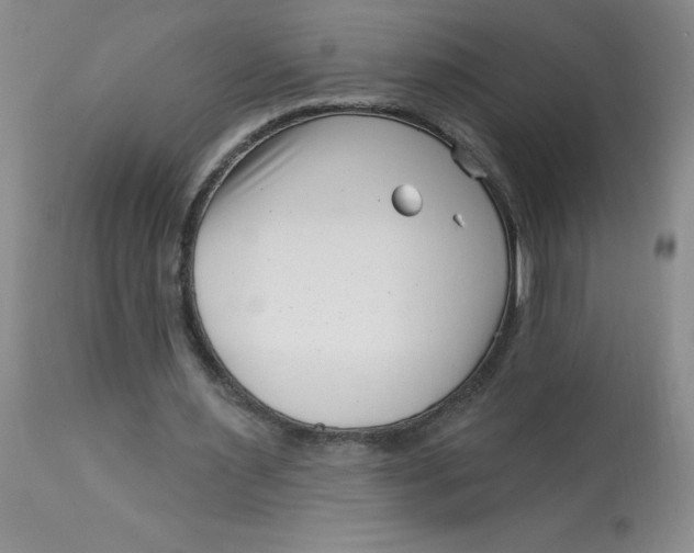 X0000113160483200909251356