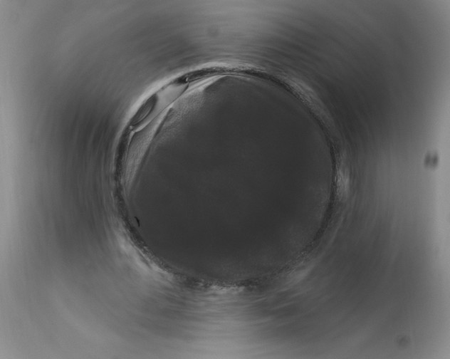 X0000113160484200909251355