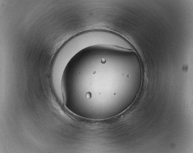 X0000113160485200909251355