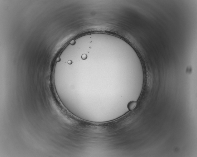 X0000113160486200909251355