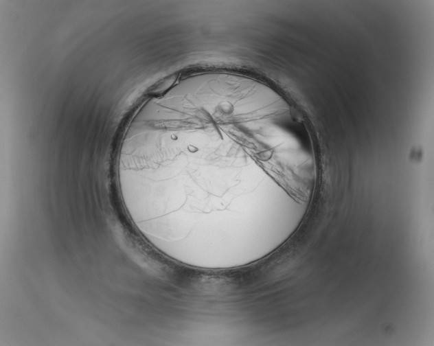 X0000113160487200909251355