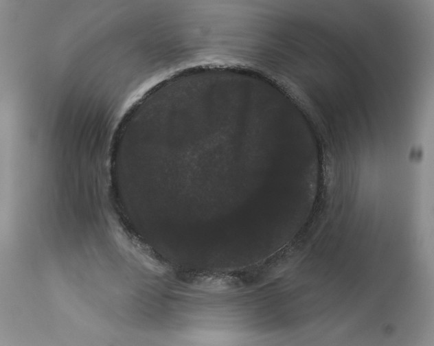 X0000113160488200909251355