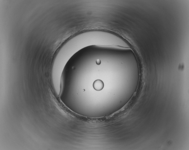 X0000113160489200909251355