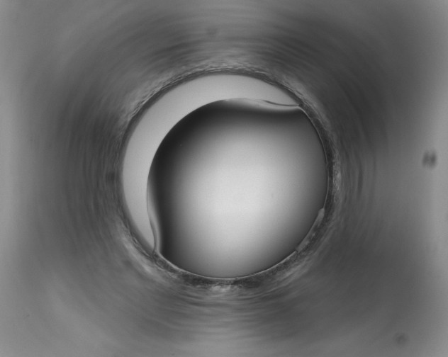 X0000113160493200909251355