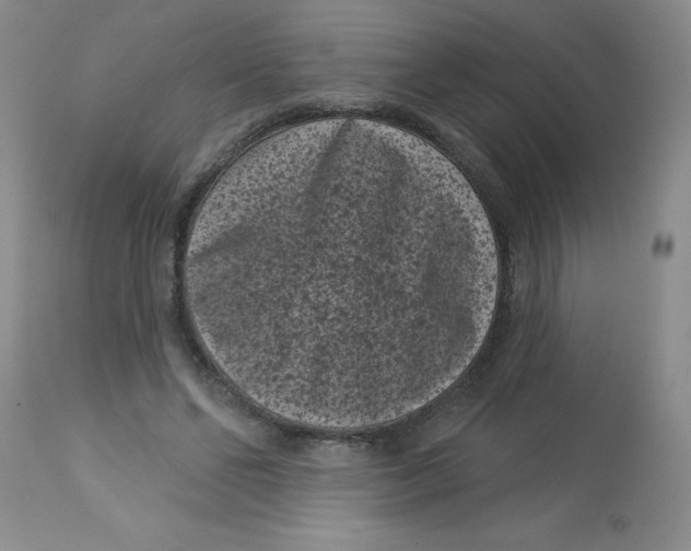 X0000113160494200909251355