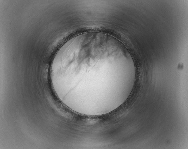 X0000113160495200909251355