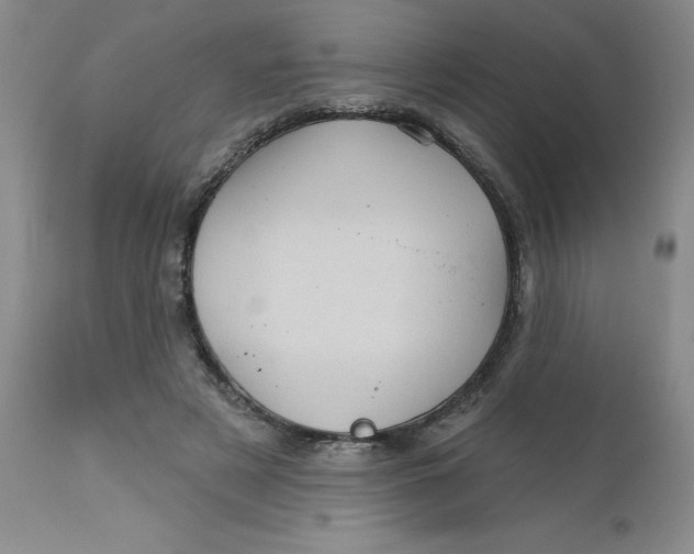 X0000113160497200909251355