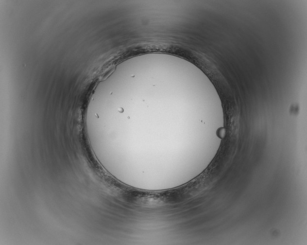 X0000113160498200909251355