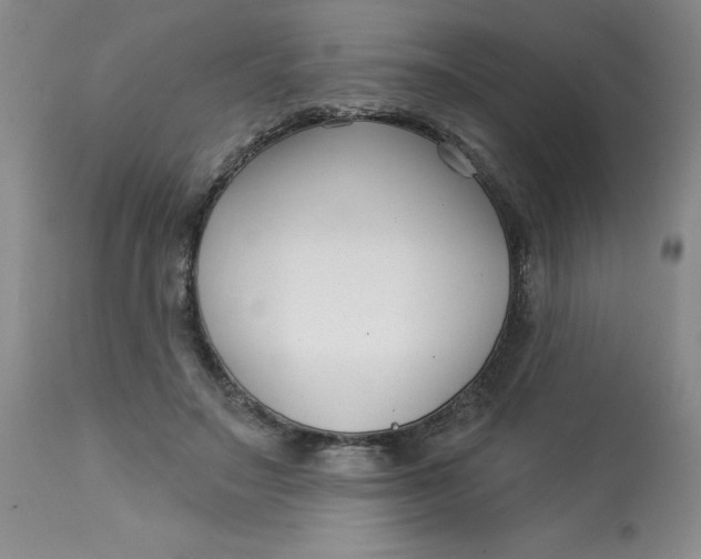 X0000113160499200909251355