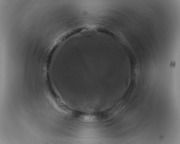 X0000113160500200909251355