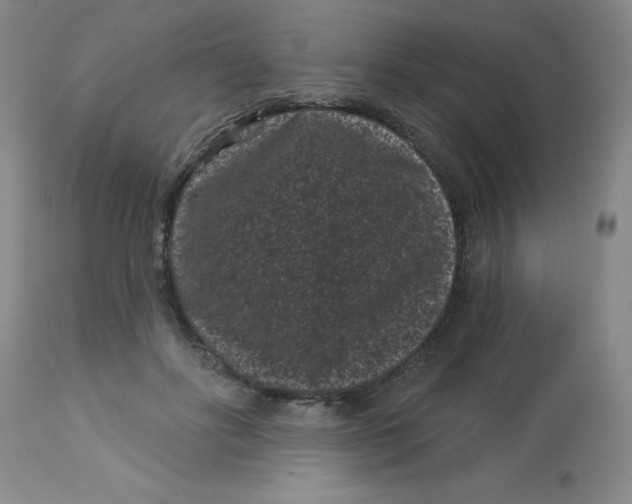 X0000113160502200909251355