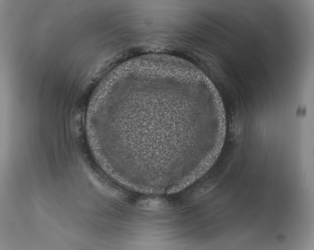 X0000113160503200909251355