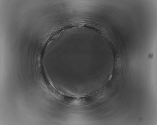 X0000113160504200909251355