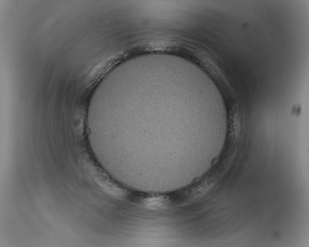 X0000113160505200909251355